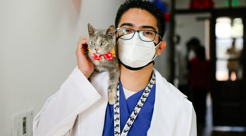 Día del veterinario