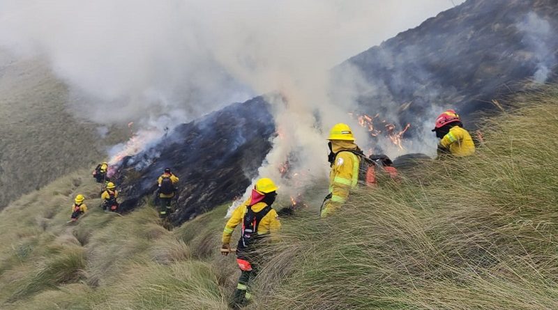 Control incendio forestal en Papallacta