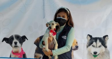 Adopción responsable tres centros UBA