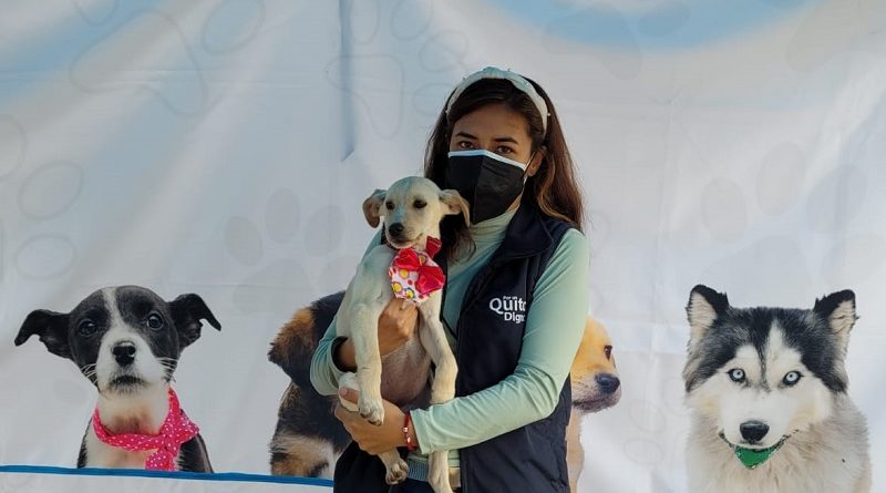 Adopción responsable tres centros UBA