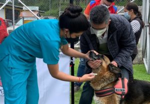Esterilización y desparasitación DMQ