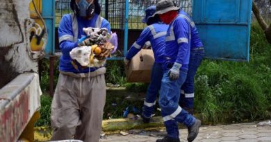 179 mil toneladas de residuos recolectados en los primeros tres meses de 2022