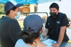 Adopciones La Armenia