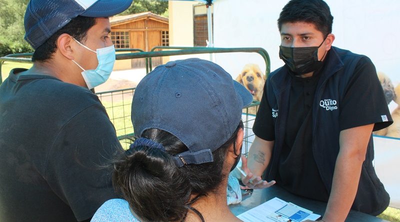 Adopciones La Armenia