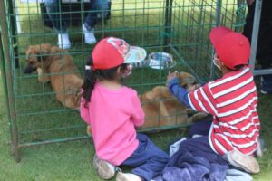 Adopciones La Armenia