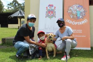 Adopciones La Armenia