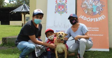 Adopciones La Armenia