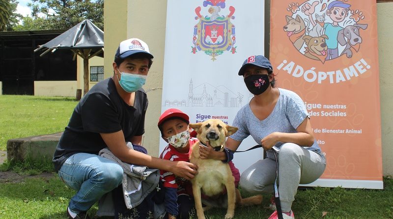 Adopciones La Armenia
