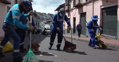 Emaseo domingo de ramos