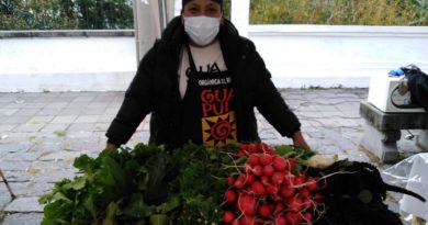 Feria Gastronómica de Guápulo