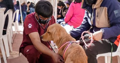 Covid en animales de compañía