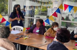 Talleres adultos mayores suicidio