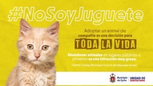 Campaña no soy juguete