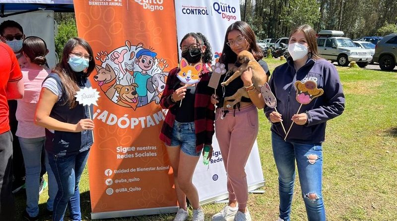 Festivanimal 11 y 12 de junio