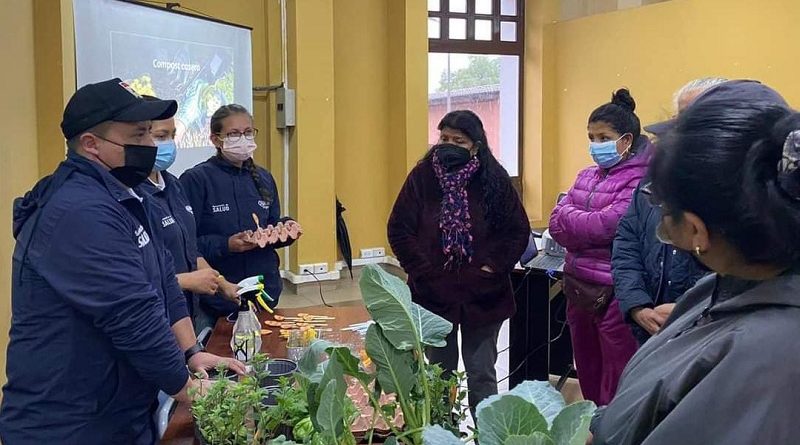 Huertos familiares Secretarìa de Salud