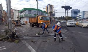 Limpieza DMQ manifestaciones
