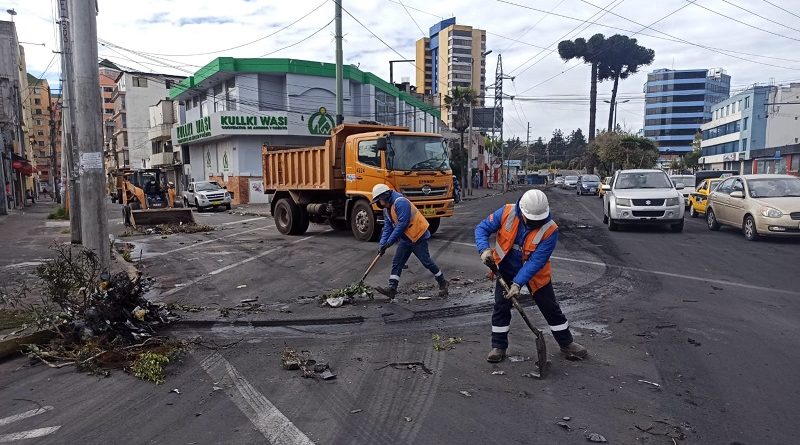 Limpieza DMQ manifestaciones