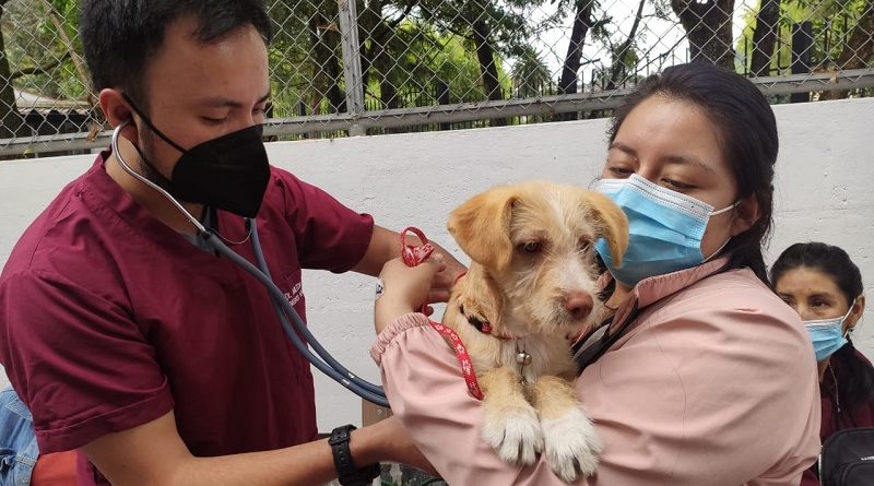 Suspención esterilización DMQ