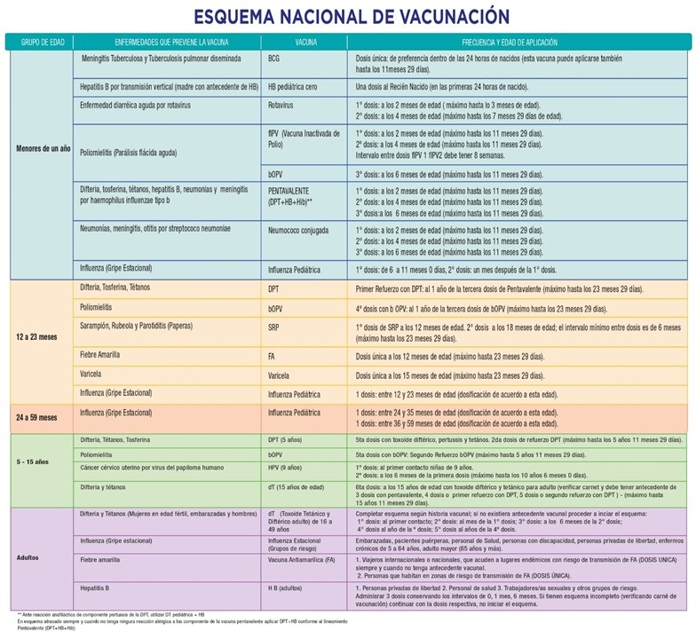 MSP y Secretaría de Salud realizan búsqueda activa para vacunación de