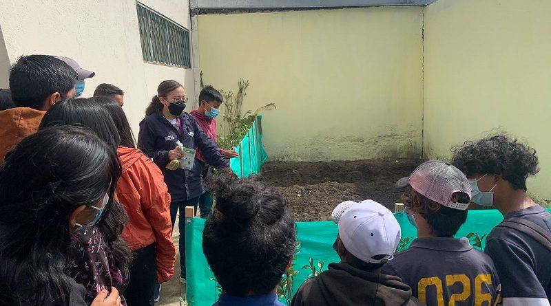 Secretaría de Salud promueve huertos orgánicos