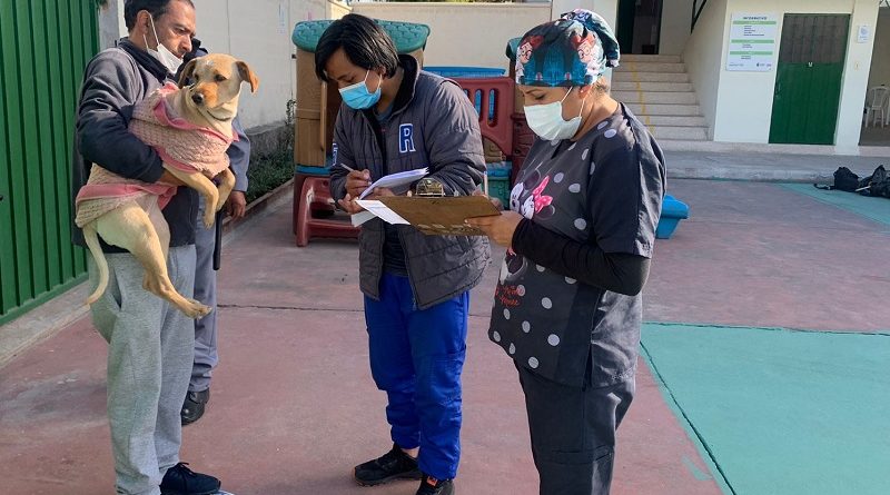 UBA sensibilización por el día del perro