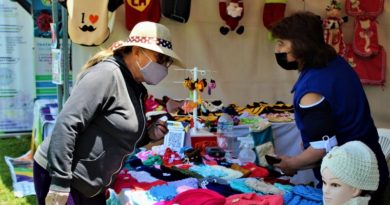 Feria parque de los Tubos