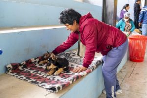 UBA llega al noroccidente de Quito