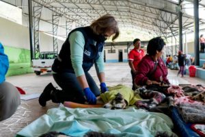 UBA llega al noroccidente de Quito