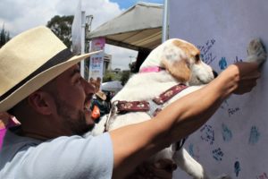 I Feria de Bienestar Animal ‘Adopta – Cuida – Esteriliza’ La Carolina