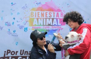 I Feria de Bienestar Animal ‘Adopta – Cuida – Esteriliza’ La Carolina