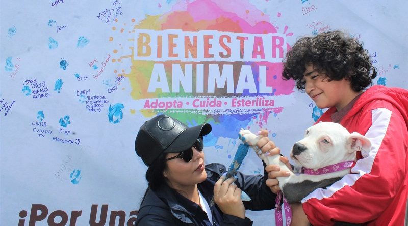 I Feria de Bienestar Animal ‘Adopta – Cuida – Esteriliza’ La Carolina
