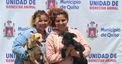 I Feria de Bienestar Animal ‘Adopta – Cuida – Esteriliza’ La Carolina
