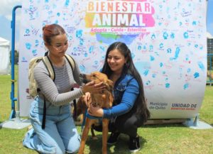 I Feria de Bienestar Animal ‘Adopta – Cuida – Esteriliza’ La Carolina