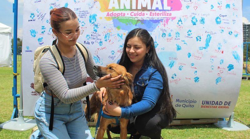 I Feria de Bienestar Animal ‘Adopta – Cuida – Esteriliza’ La Carolina