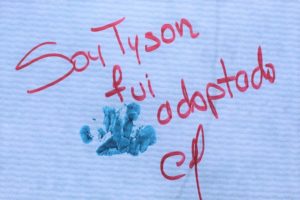 I Feria de Bienestar Animal ‘Adopta – Cuida – Esteriliza’ La Carolina