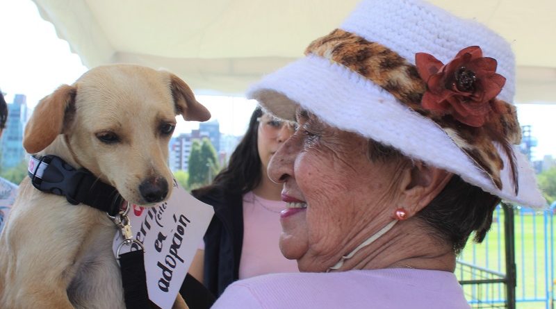 I Feria de Bienestar Animal ‘Adopta – Cuida – Esteriliza’ La Carolina