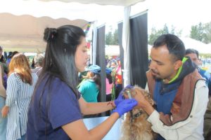I Feria de Bienestar Animal ‘Adopta – Cuida – Esteriliza’ La Carolina