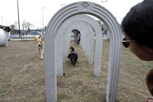 Parque Cultural Turubamba