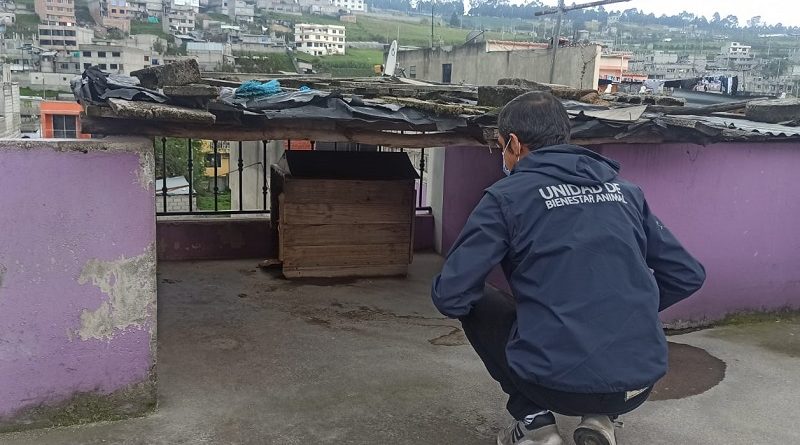 UBA rescata DMQ