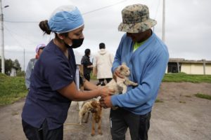 Esterilización El Tablón