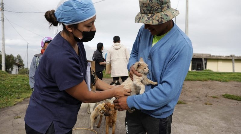 Esterilización El Tablón