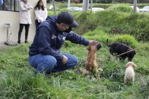 Esterilización El Tablón