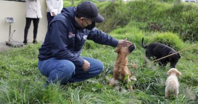 Esterilización El Tablón