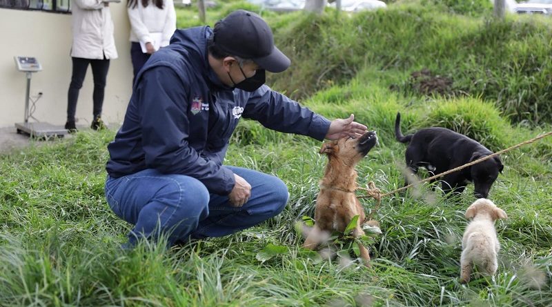 Esterilización El Tablón