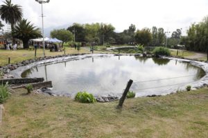 Parque La Moya