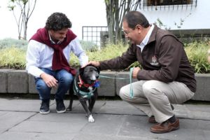 Santi adopción
