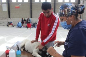 Campaña de esterilización Nono