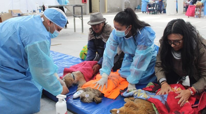 Campaña de esterilización Nono