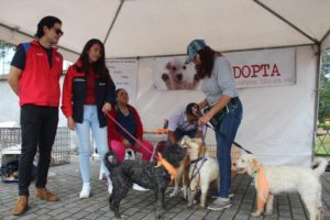 Feria Los Chillos Contigo
