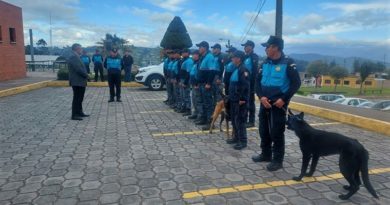 Grupo de Rescate y Binomios Caninos retornaron a Quito